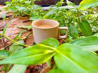 Samarth Atc-Beach Home Stay Ratnāgiri المظهر الخارجي الصورة